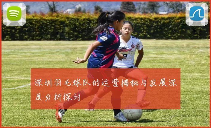 深圳羽毛球队的运营揭秘与发展深度分析探讨