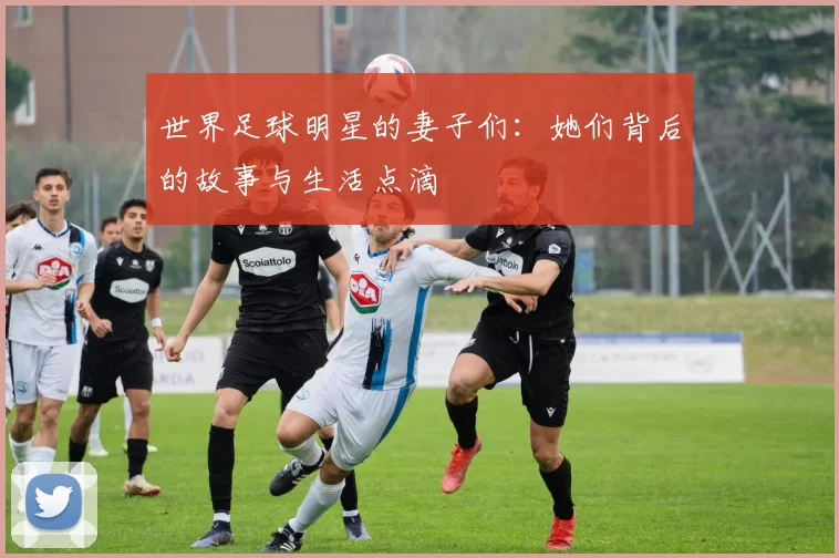世界足球明星的妻子们：她们背后的故事与生活点滴