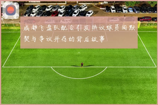 成都飞盘队配合引发热议球员间默契与争议并存的背后故事