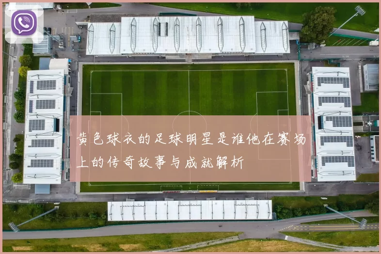 黄色球衣的足球明星是谁他在赛场上的传奇故事与成就解析