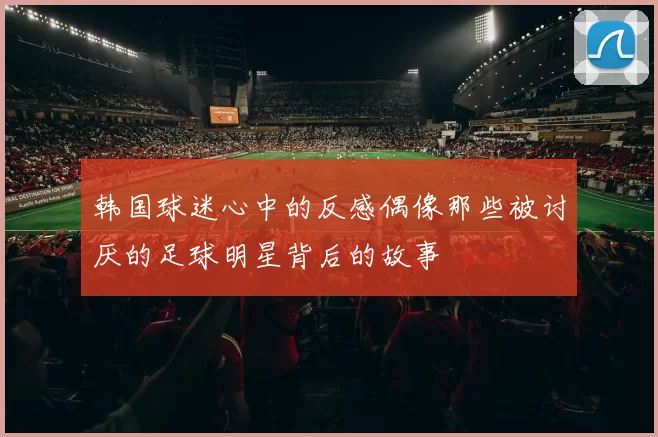 韩国球迷心中的反感偶像那些被讨厌的足球明星背后的故事