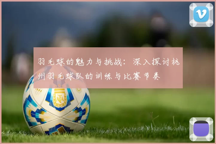 羽毛球的魅力与挑战：深入探讨杭州羽毛球队的训练与比赛节奏