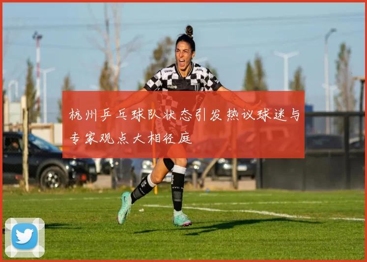 杭州乒乓球队状态引发热议球迷与专家观点大相径庭