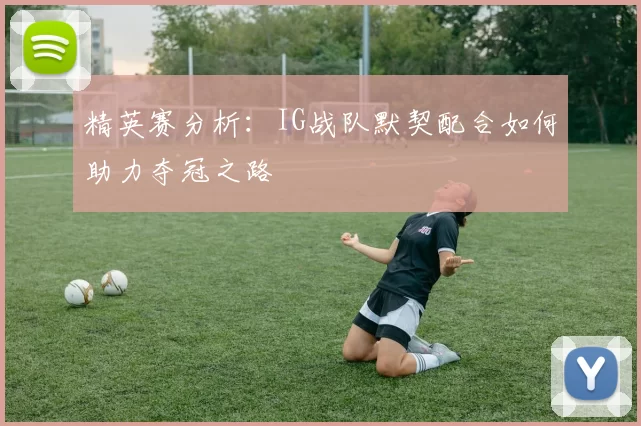 精英赛分析：IG战队默契配合如何助力夺冠之路