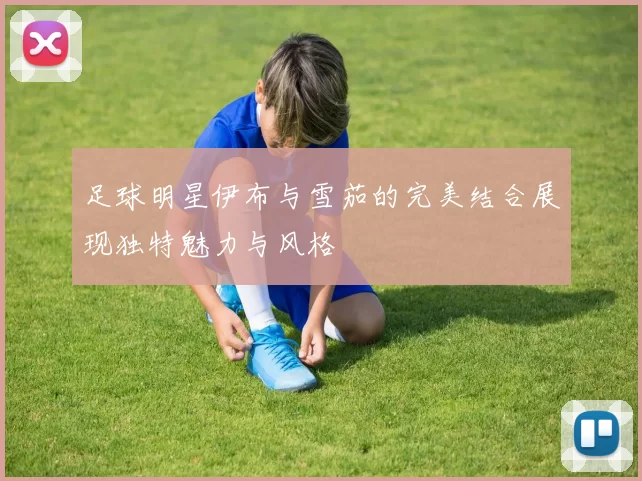 足球明星伊布与雪茄的完美结合展现独特魅力与风格