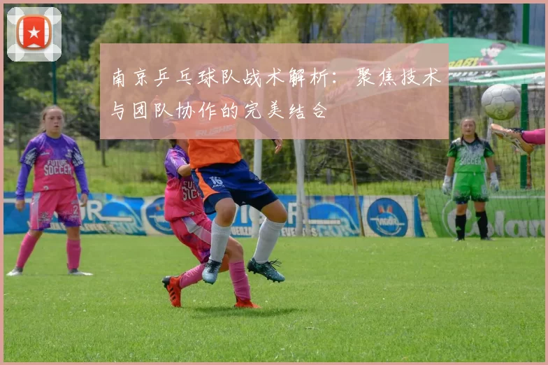 南京乒乓球队战术解析：聚焦技术与团队协作的完美结合