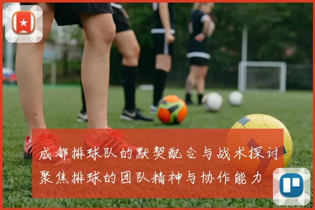 成都排球队的默契配合与战术探讨聚焦排球的团队精神与协作能力